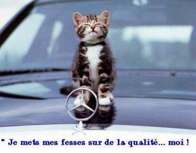 petasse comme moii lol